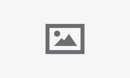 All about casino winbeast
